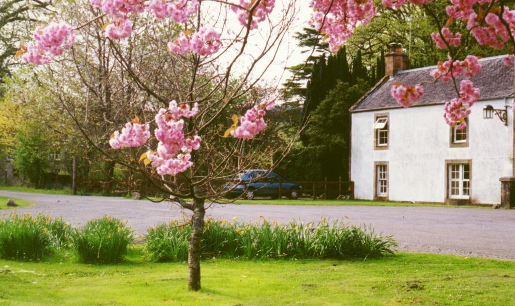 Inverawe Cottages Taynuilt Zimmer foto